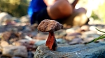 photo thumbnail #5