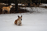 photo thumbnail #5
