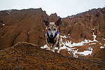 photo thumbnail #11
