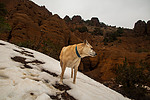 photo thumbnail #12