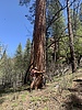 photo thumbnail #6