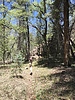 photo thumbnail #8