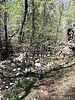 photo thumbnail #9
