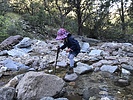 photo thumbnail #2