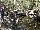 photo thumbnail #5
