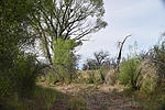 photo thumbnail #3