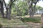 photo thumbnail #6