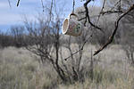 photo thumbnail #8