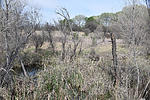 photo thumbnail #9
