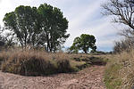photo thumbnail #12