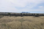2020-04-27 :3: Las Cienegas Creek Upper :: markthurman53