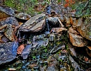 photo thumbnail #5