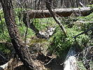 photo thumbnail #3