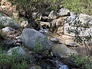 photo thumbnail #10