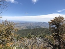 photo thumbnail #11