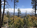 photo thumbnail #14