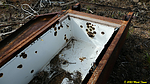photo thumbnail #10