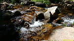 photo thumbnail #14