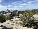 photo thumbnail #3