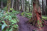 photo thumbnail #10