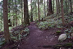photo thumbnail #11