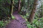 photo thumbnail #13