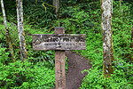 photo thumbnail #14