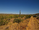 photo thumbnail #15