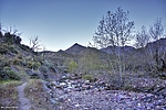 photo thumbnail #4