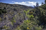 photo thumbnail #8