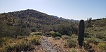photo thumbnail #1