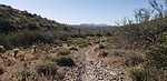 photo thumbnail #4