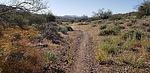 photo thumbnail #5