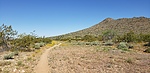 photo thumbnail #8