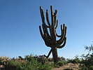 photo thumbnail #1