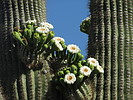 photo thumbnail #13