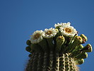 photo thumbnail #15