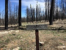 photo thumbnail #4
