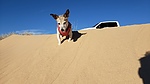 photo thumbnail #8
