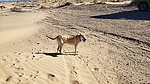 photo thumbnail #9