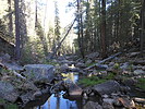photo thumbnail #1