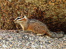 2020-05-01 :2: Sixshooter Trail #197 :: outdoor_lover