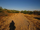 photo thumbnail #2