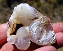 photo thumbnail #8