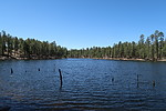 photo thumbnail #13