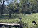 photo thumbnail #4