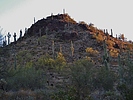 photo thumbnail #5