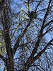 photo thumbnail #15
