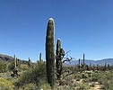 recent photo