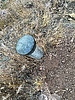 photo thumbnail #2